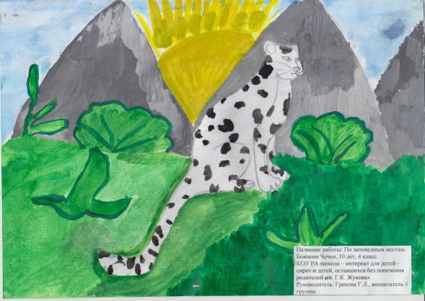 Заповедные места России детские рисунки