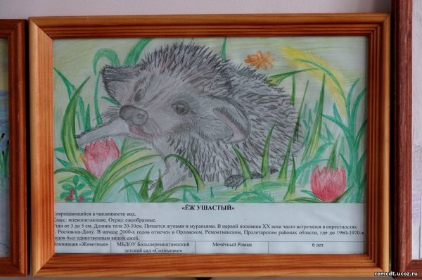 Красная книга глазами детей