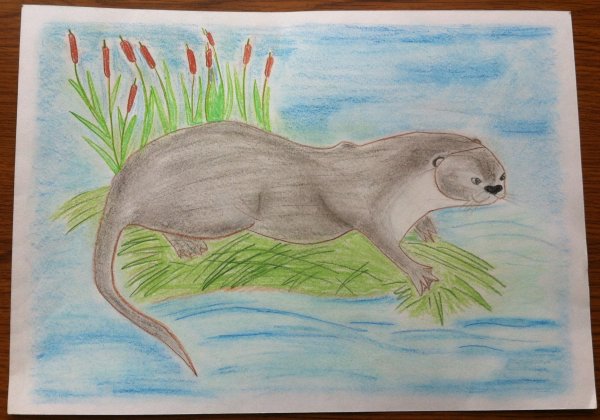 Рисунок на тему животный мир