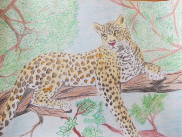 Рисунок на тему животные