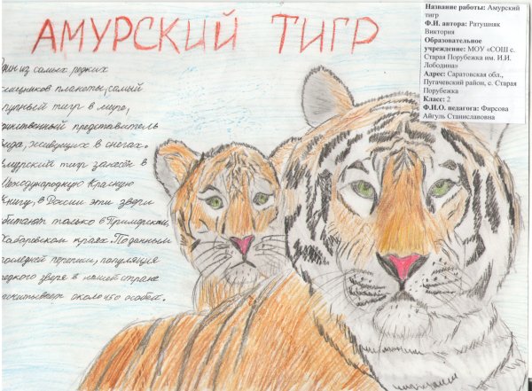 Рисовать животных из красной книги