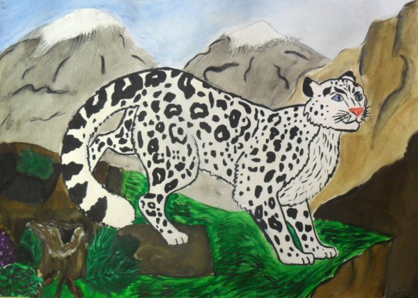 Снежный Барс рисунок