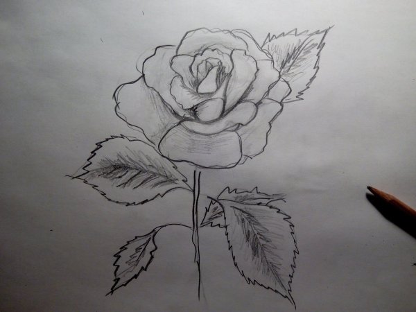 Рисунок в цвете на свободную тему