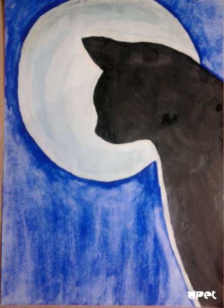 Рисунки красками