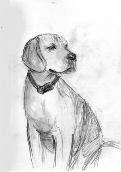 Рисунки карандашом на свободную тему