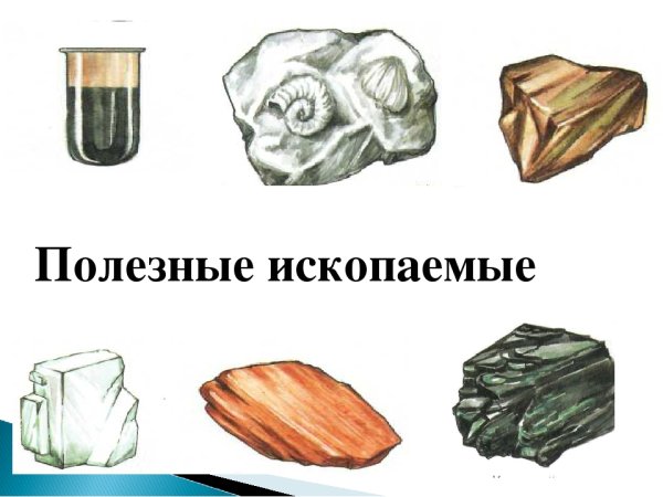 Полезные ископаемые рисунок