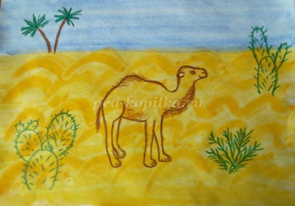 Рисование верблюда в пустыне