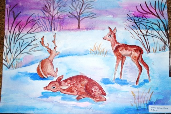 Животные родного края рисунок