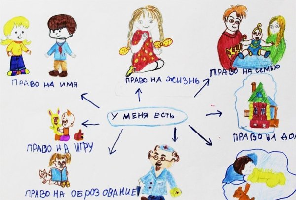 Права и обязанности нарисовать