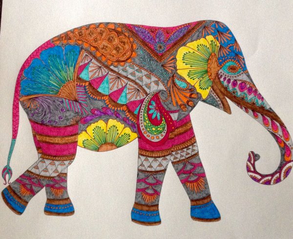 Милли Маротта картины