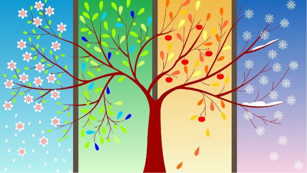 Дерево в разные сезоны года