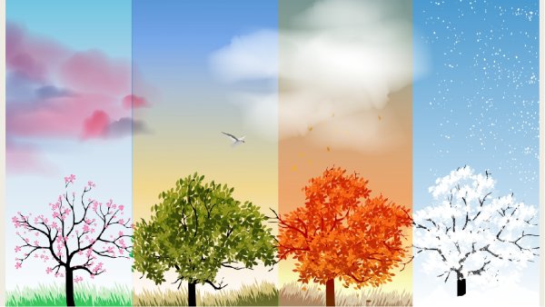 Дерево сезонов