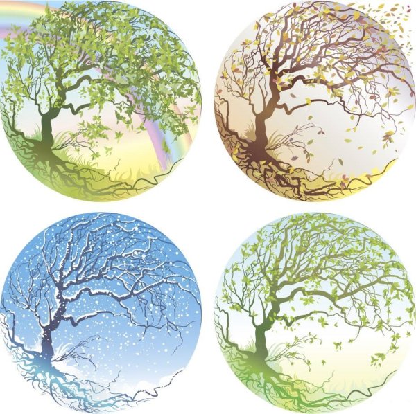 Времена года