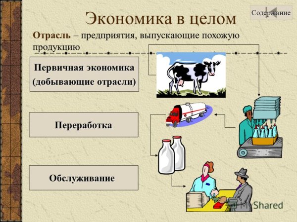 Экономика презентация экономика презентация