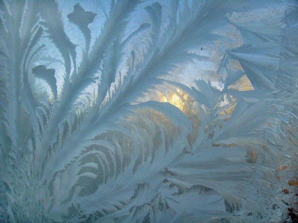 Саймон Бек картины на снегу