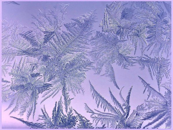 Зимние узоры