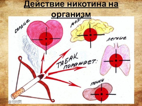 Рисунок на тему курение вредит здоровью