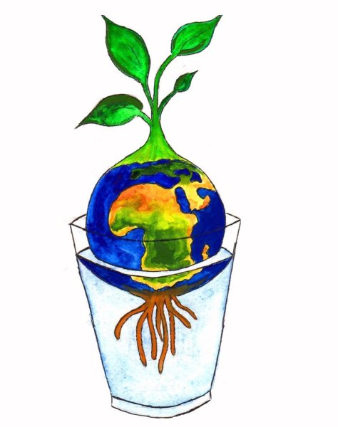 Экология рисунок