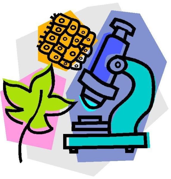 Наука глазами детей