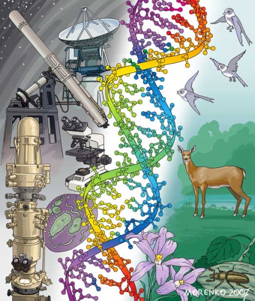 Конкурс я познаю мир рисунок