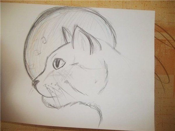 Рисунки на альбомном листе карандашом