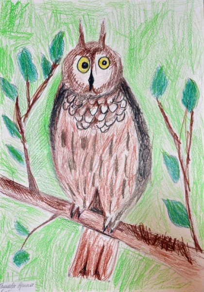 Рисование Филина
