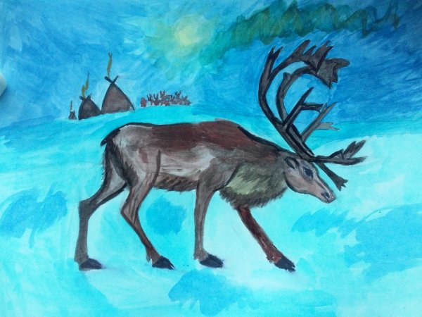 Рисование Северный олень