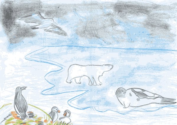 Тундра рисунок