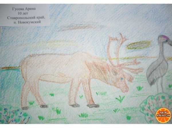 Тундра рисунок для 4 класса