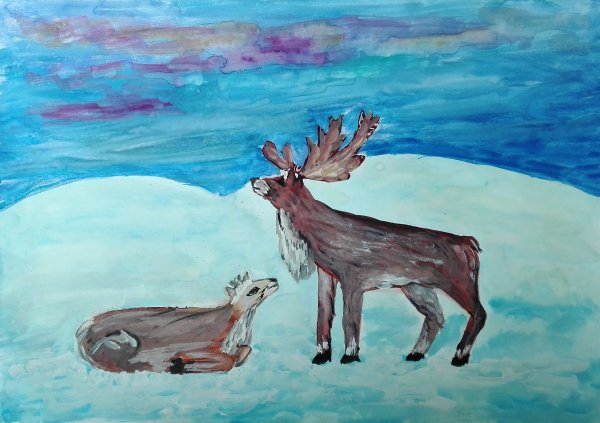 Тундра рисунок