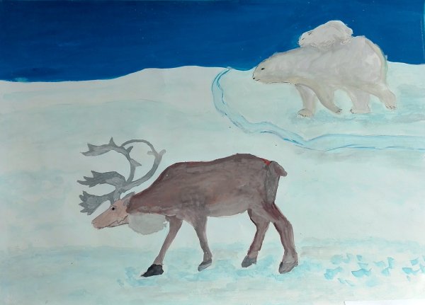 Рисование животных севера