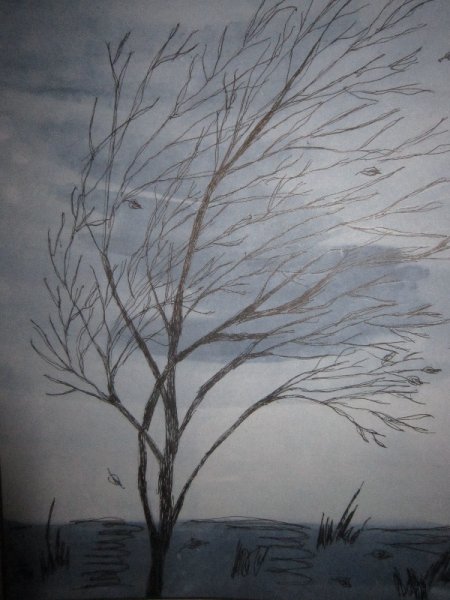 Рисование поздняя осень в подготовительной группе