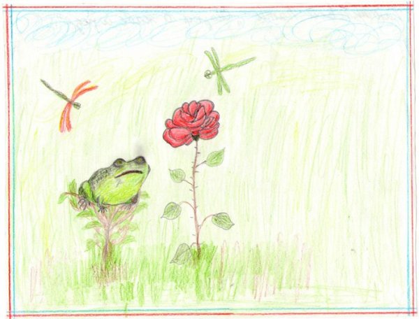 Жаба и роза Гаршин