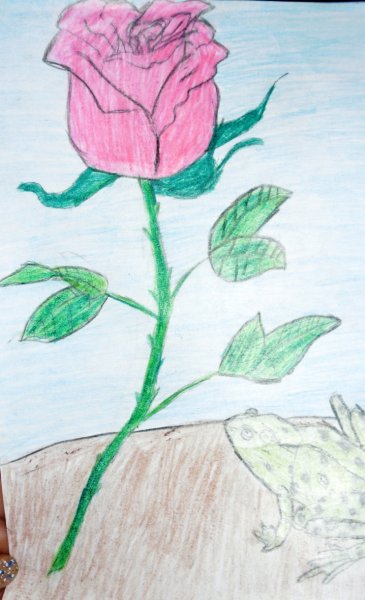 Иллюстрация к сказке о жабе и Розе