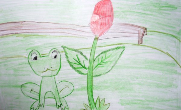 Лягушка серая Звездочка