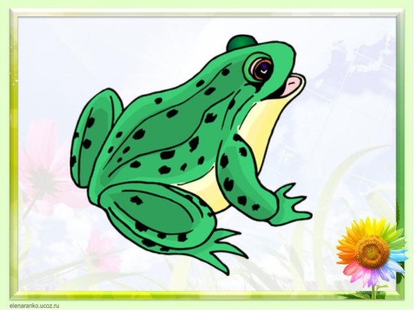 Сказка о жабе и Розе рисунок к сказке