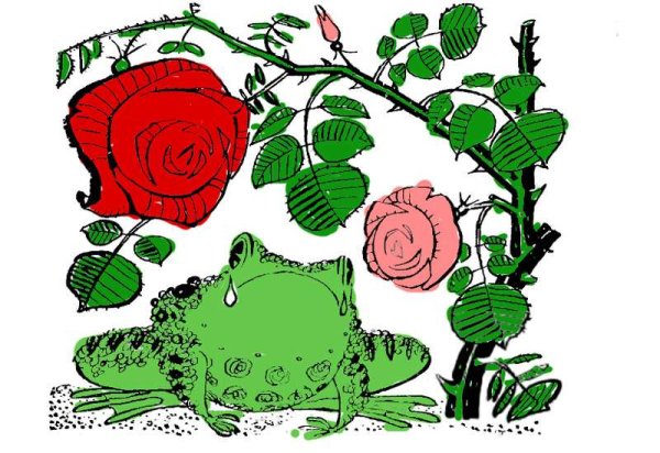 Иллюстрация к сказке о жабе и Розе