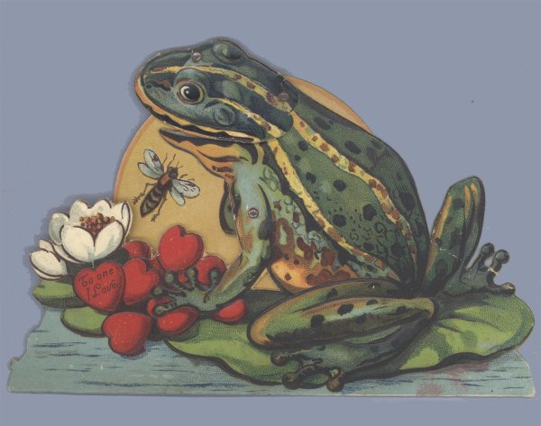 Гаршин сказка о жабе и Розе рисунок к сказке