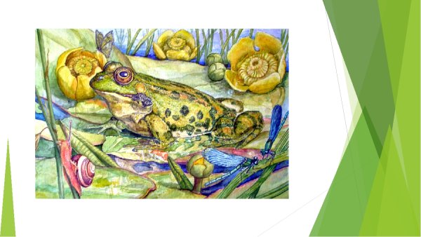 Сказка о жабе и Розе