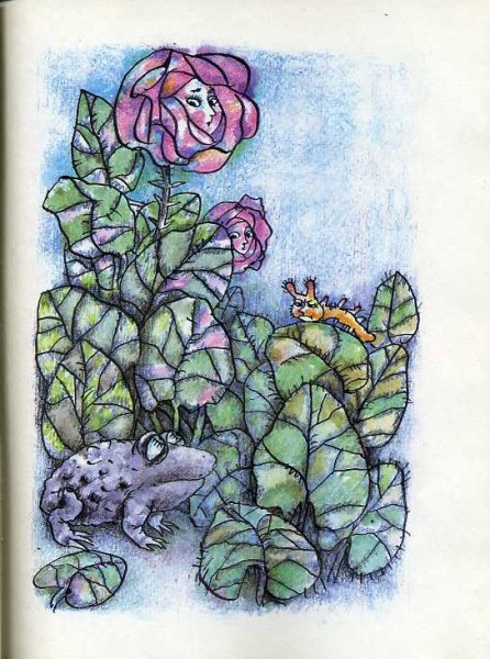 Жаба и роза