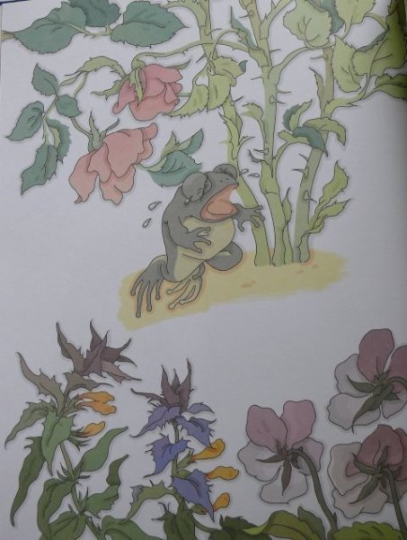 Жаба и роза Гаршин