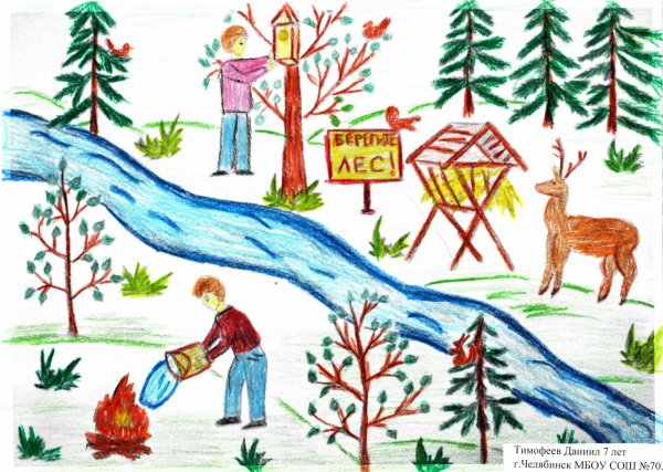 Берегите лес и природу