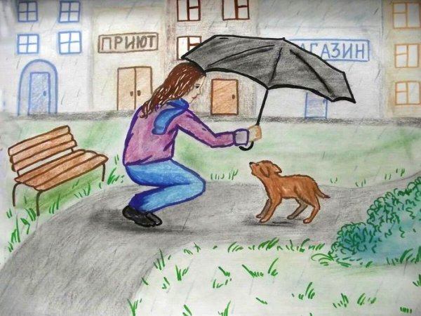 Бездомные животные рисунки