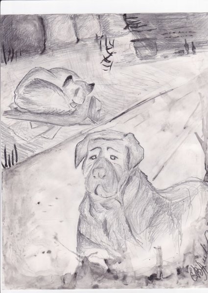 Рисунки бездомных животных