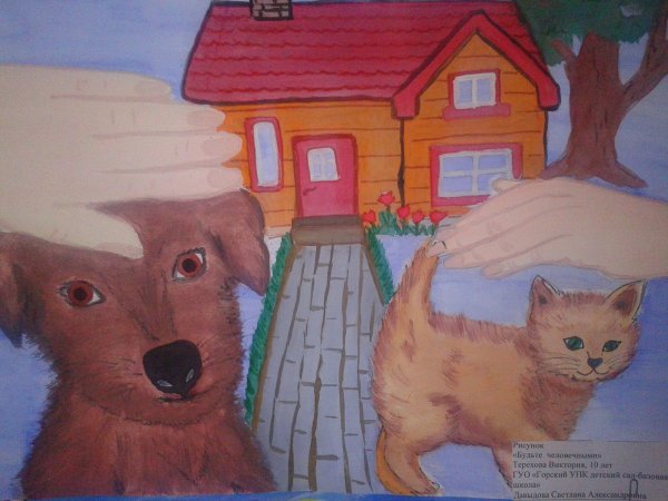 Приют рисунок