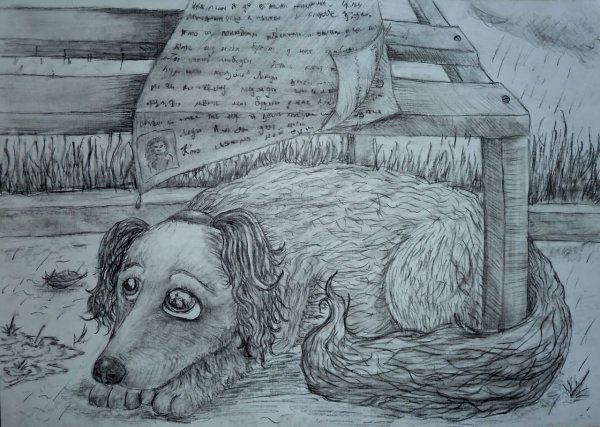 Иллюстрации бездомных животных