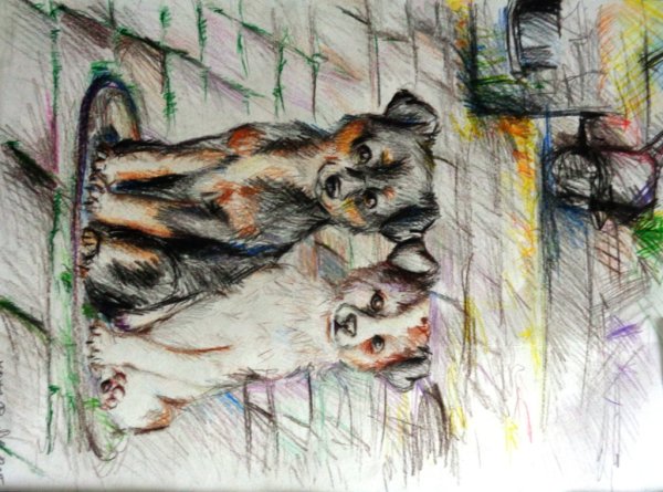 Картины бездомных животных