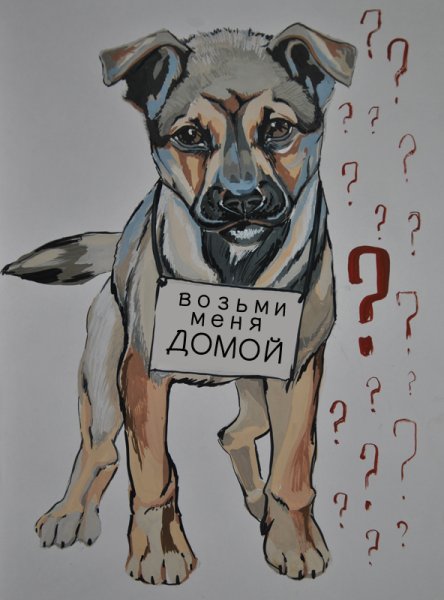 Плакат о бездомных животных