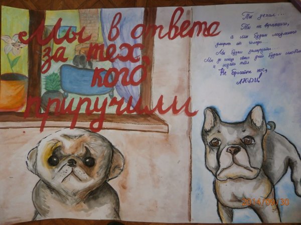 Плакат в защиту бездомных животных