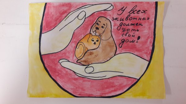 Рисунок на тему помоги бездомным животным